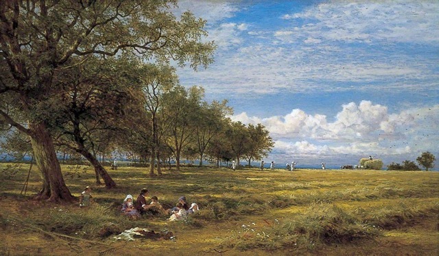 Hayfield