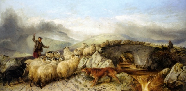 Collecting Sheep; Warwickshire