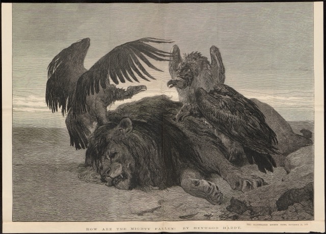 The Dead Lioness
