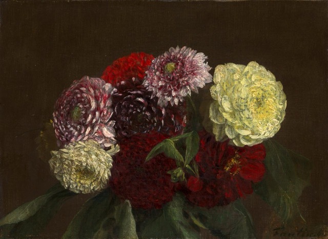 Dahlias